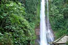 IMG-20221108-WA0055