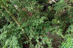 IMG-20221109-WA0038