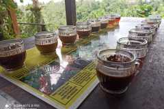 IMG-20221109-WA0041