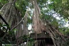 IMG-20221109-WA0042
