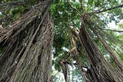 IMG-20221109-WA0043