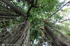 IMG-20221109-WA0044