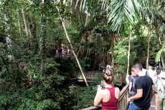 IMG-20221109-WA0045