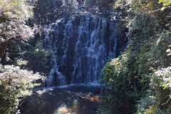 IMG-20221110-WA0000